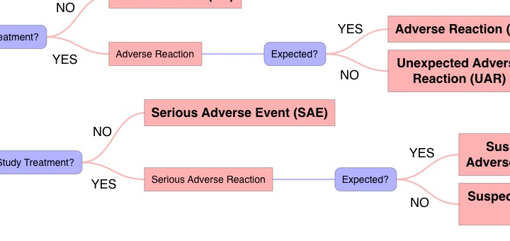 Safety reporting flowchart: AE, SAE, SSAR, SUSAR